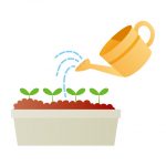 例えばこんな楽しみ方