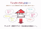究極の自然素材と横浜中華街？？？　その２