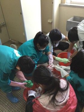 岡本中学校トイレ実習