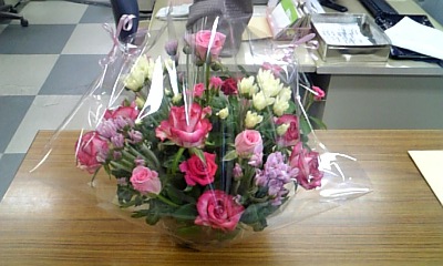 きれいな薔薇の花