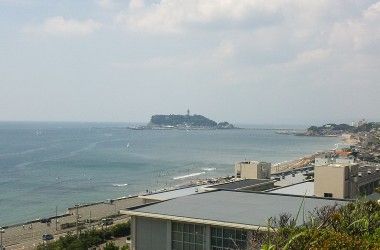 サメ！現れる！