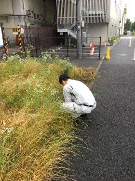 新羽駅周辺の街頭掃除
