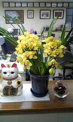 花