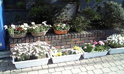 花