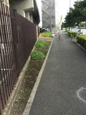 早朝清掃