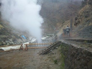 長野県の地獄谷野猿公苑