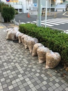 新横浜駅前街頭清掃