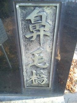 鼻毛橋