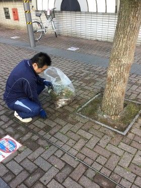 新横浜駅前の街頭清掃と公衆トイレ掃除
