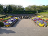 四季の森公園の花畑１