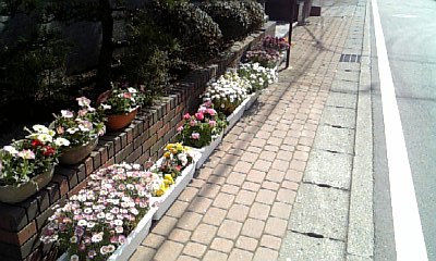 花