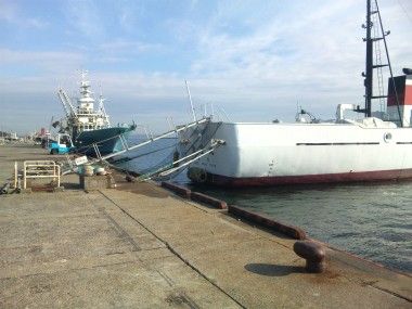 １２月度　宮城のパトロール（その２）