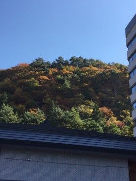 東北の紅葉