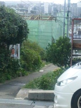 道がない