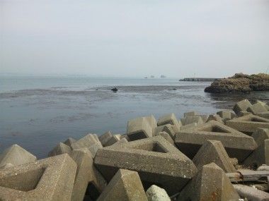 東日本大震災のがれき撤去工事