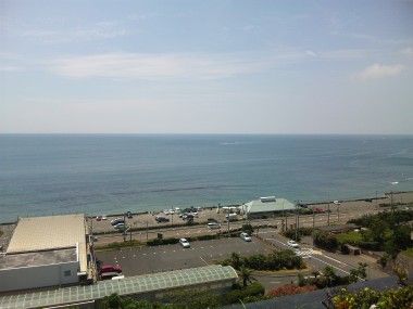 サメ
