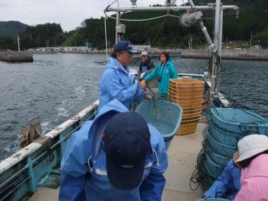 ホタテ水揚げ体験