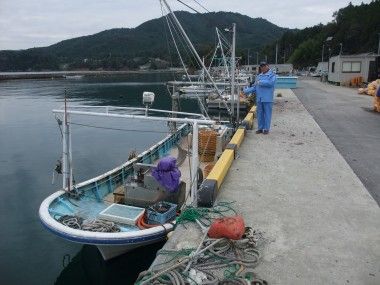 ホタテ水揚げ体験