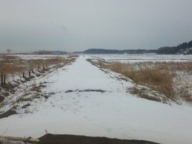 被災地の線路跡