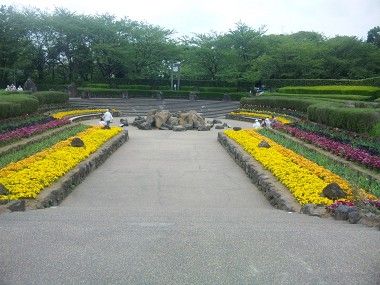 2014『四季の森公園まつり』がひらかれました!
