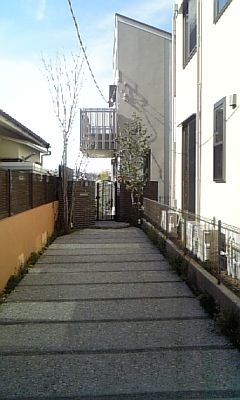 上池台の家
