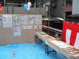 展示