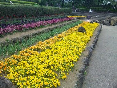 四季の森公園まつり