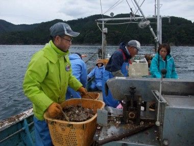 ホタテ水揚げ体験