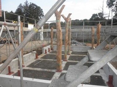 ズーラシア動物園に『アフリカ原住民の住まい』を再現します！（その10）