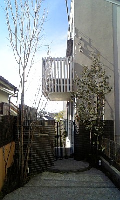 上池台の家１